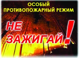 В Бурятии нет лесных пожаров В Бурятии нет лесных пожаров