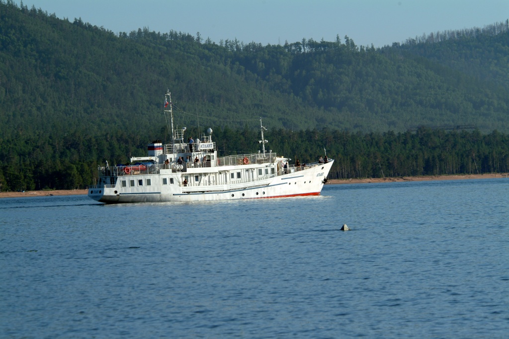 DSCF0136.JPG