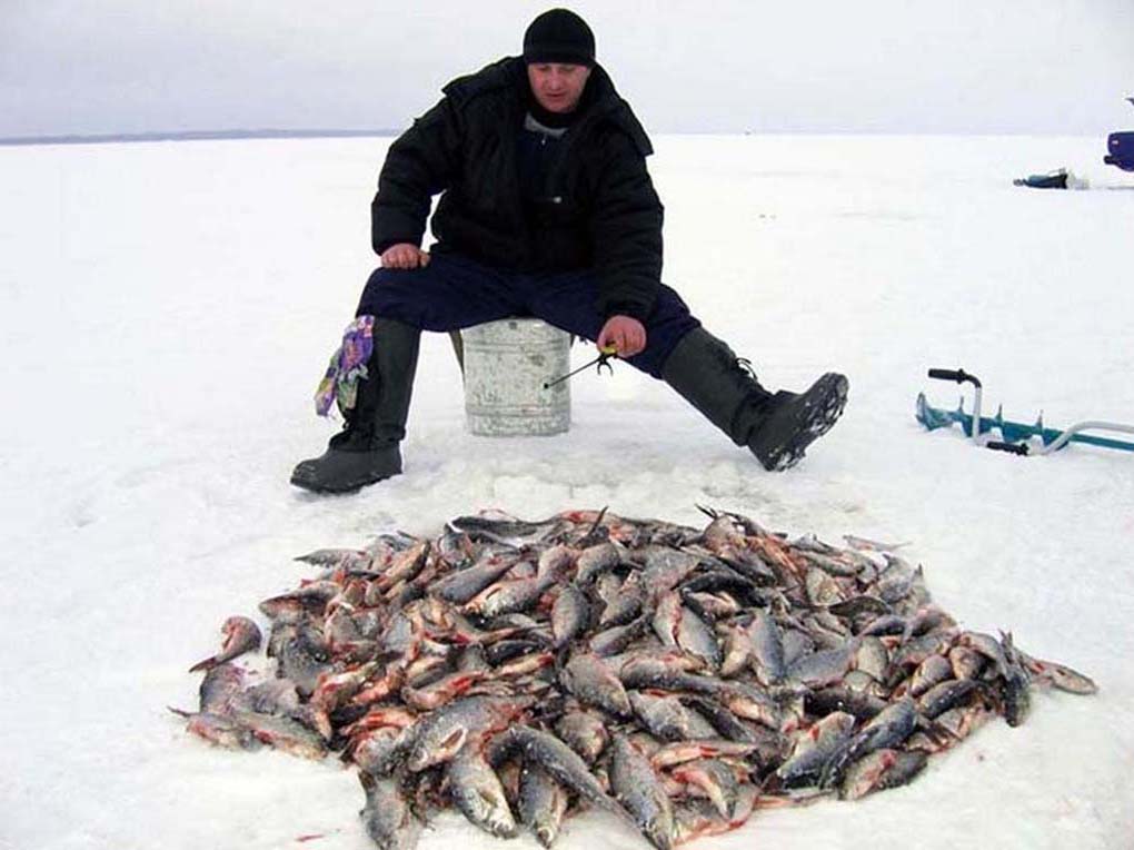 Зимняя рыбалка на Байкале - ВизитБурятия.рф