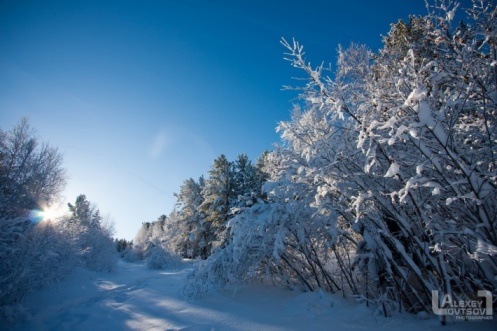 Новый год 2015 встречаем на Байкале!