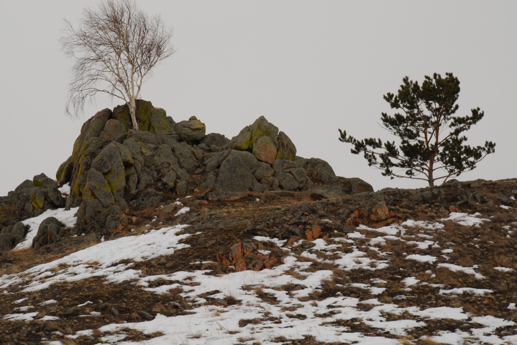 DSC_0451.JPG