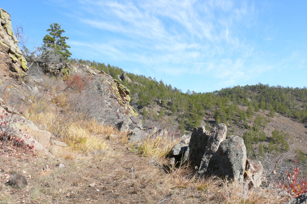 P1100530.JPG