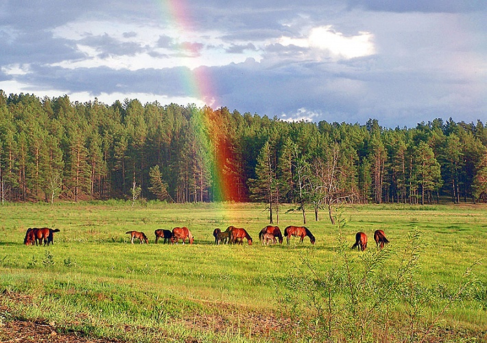 Маршрут "Улан-Удэ – Баргузин - Курумкан"