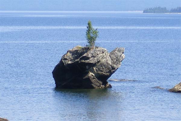 Валун черепаха